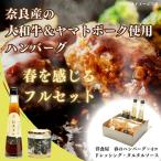 ハンバーグ 春を感じるフルセット 大和牛