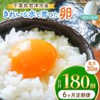 きれいな水で育てた卵 アローカナ 30個