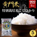 米 コシヒカリ 令和8年度米 白米 5kg