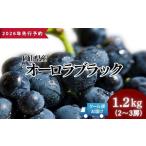 オーロラブラック 1.2kg以上