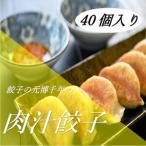 ふるさと納税 餃子の元博千年の肉汁餃子40個入り 愛知県稲沢市