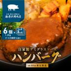 ハンバーグ デミグラス 6個