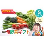 ふるさと納税 【３回定期便】綾町旬野菜ギフト（Sサイズ / 約6-7種）1〜2人分 / 野菜 朝どれ 無農薬 減農薬 栽培期間中 有機栽培 産地直送 新鮮 旬.. 宮崎県綾町