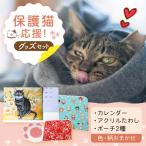グッズセット ポーチMLタイプ オリジナルポストカード