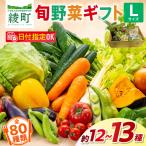 旬野菜 Lサイズ 約12-13種 4人以上分