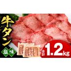 ふるさと納税 牛タン塩味1.2kg 牛肉  牛タン タン塩 宮崎県宮崎市