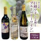 田主丸町巨峰ワイン二種とブルーベリーワインのセット_田主…