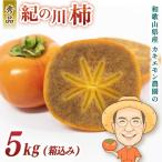柿 カキエモン農園の紀の川柿 約5kg