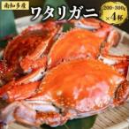 魚太郎のボイルワタリガニ4杯 ボイル前:1匹200g-300g