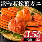 若松葉ガニ姿茹で 3枚セット※お届けは2027年2月上旬~