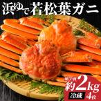 若松葉ガニ姿茹で 4枚セット※お届けは2027年2月上旬~