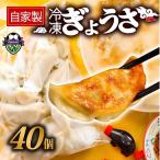 冷凍 餃子 40個