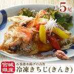 冷凍きちじ きんき ひらき 5尾