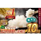 ふるさと納税 令和7年産 新米 熊本県産 ほたるの灯り 無洗米 10kg | 小分け 5kg × 2袋 熊本県産 こめ 米 無洗米 ごはん 銘柄米 ブレンド.. 熊本県和水町