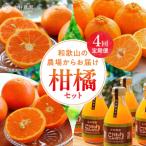 柑橘定期便 樹_ZS69007