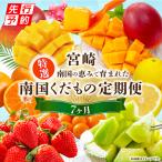 定期便 くだもの7ヶ月