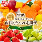 定期便 くだもの7ヶ月