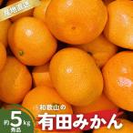 ご こだわりの有田みかん 約5kg+150g