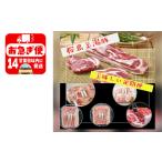 J11-0401 産桜島美湯豚 満腹セット