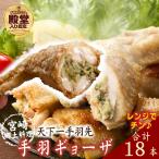 宮崎手羽ギョーザ 18本