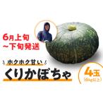 fu.... налог [2026 год предшествующий предварительный заказ ].. тыква 4 шар (6kg и больше ) C062-003-02 овощи ... тыква тыква юг . каштан тыква каштан тыква .... Кагосима префектура . название блок 