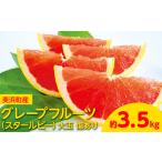 産グレープフルーツ スタールビー 大玉 傷あり 約3.5kg