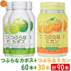 つぶらなカボス つぶらなミカン 計90本セット