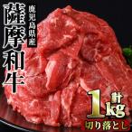 No.1142-B 薩摩和牛切り落とし 計1kg