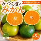 極 有田みかんプレミアム 約5kg
