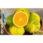 山口さん家のスイートスプリング 約5kg