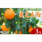紅まどんなと同品種 マドンナ 愛媛果試第28号