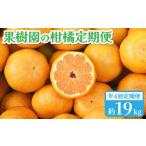 年4回 果樹園の柑橘定期便 ポンカン5kg