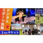 デジタル スポーツ体験 チケット フィールド全体