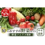 野菜ソムリエ 監修 旬の野菜 セット 4~6品