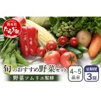 ふるさと納税 【定期便 3回】野菜ソムリエ 監修 旬の おすすめ 野菜 セット 4?6品 (1?2名様向け) 3回配送 数量限定 野菜の定期便 新鮮 野菜 セ.. 熊本県多良木町
