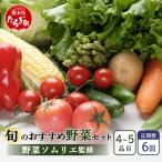 野菜ソムリエ 監修 旬の野菜 セット 4 6品