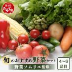 野菜ソムリエ 監修 旬の野菜 セット 4 6品