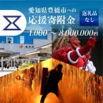 豊橋市への寄付（返礼品なし）