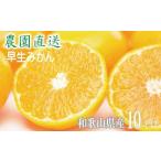 訳あり 早生みかん 大小混合 10kg