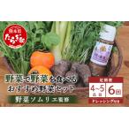 野菜ソムリエ 監修 旬の野菜&ドレッシング