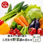 熊本の大地の恵み 旬のこだわり野菜詰め合わせセット