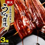 うなぎの蒲焼ビッグサイズ 3尾