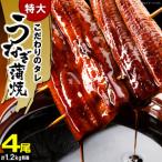 うなぎの蒲焼ビッグサイズ 4尾