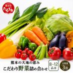 熊本の大地の恵み 旬のこだわり野菜詰め合わせセット