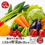熊本の大地の恵み 旬のこだわり野菜詰め合わせセット