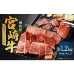 翌月末迄に 出荷 宮崎牛 牛肉 黒毛和牛 モモ