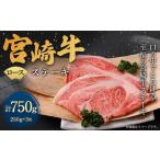 翌月末迄に 出荷 宮崎牛 牛肉 黒毛和牛 ロース