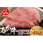 くまもとあか牛 三角バラ ステーキ 120g×4枚