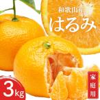 訳あり はるみ 和歌山 有田 2S~3Lサイズ混合 3kg