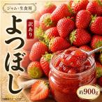 訳あり いちご 900g